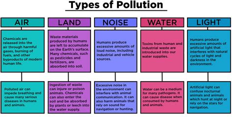 Pollution — Types & Examples - Expii