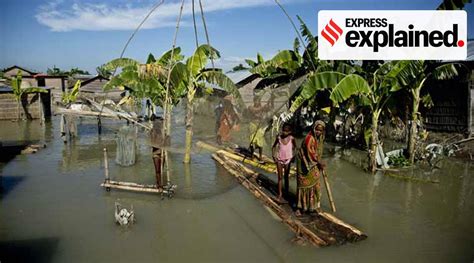 Explained: In tree rings, warning of Brahmaputra floods | Explained News - The Indian Express