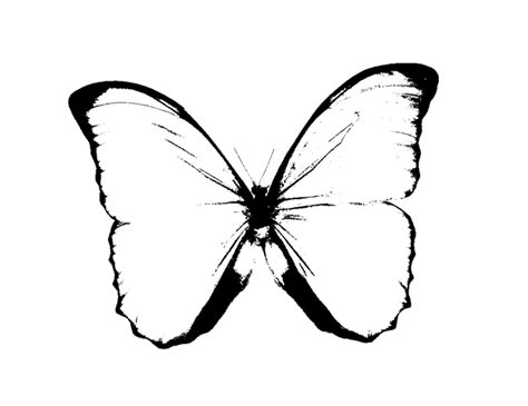 Free Butterfly Images Black And White, Download Free Butterfly Images Black And White png images ...