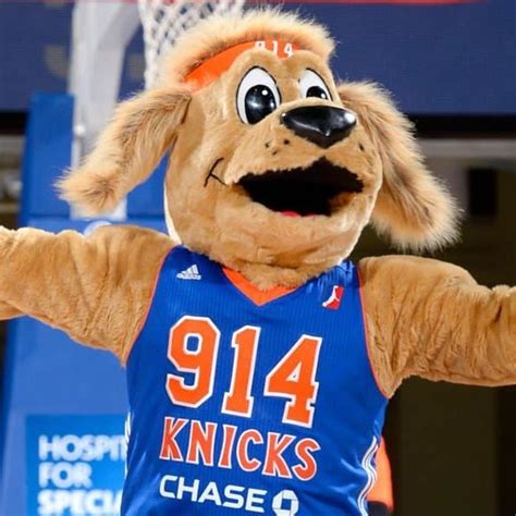 New York Knicks Mascot