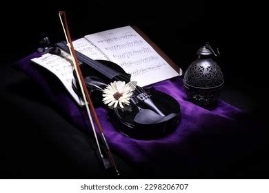 161 Violin 2023 Images, Stock Photos & Vectors | Shutterstock