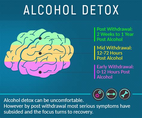 Alcohol Detox Process And Effect: Body Detoxification From Alcohol