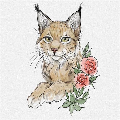 Lynx - Drawing Skill