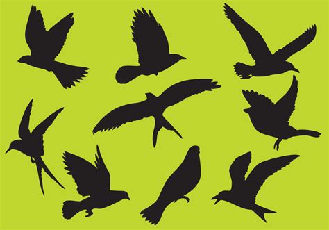 Bird Vectors - Download Free Vector Art, Stock Graphics & Images