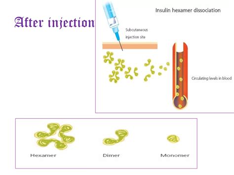 Insulin therapy | PPT