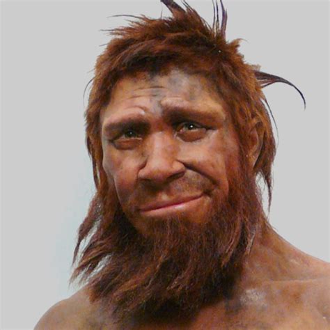 Classify Neanderthal reconstruction