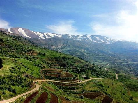 Driving through the mountains of Lebanon | Country landscaping, Lebanon, Trip