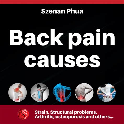 Causes of Lower Back Pain – Best Acupuncture Hamilton NZ