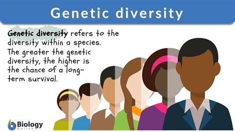 Genetic diversity Definition and Examples - Biology Online Dictionary