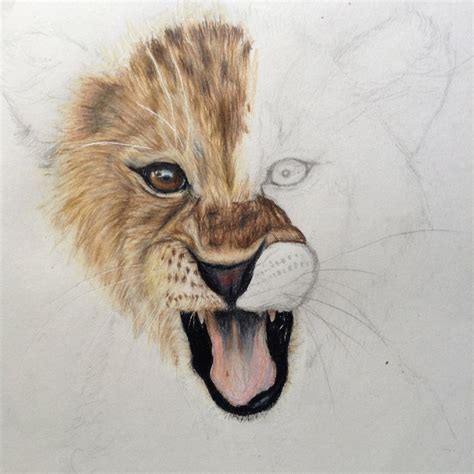 Lion Realistic Drawing at GetDrawings | Free download