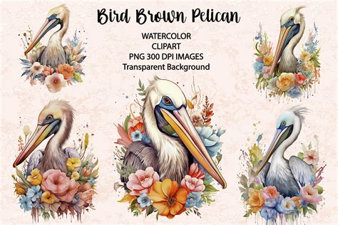 Bird Brown Pelican Watercolor Graphic by siatia · Creative Fabrica