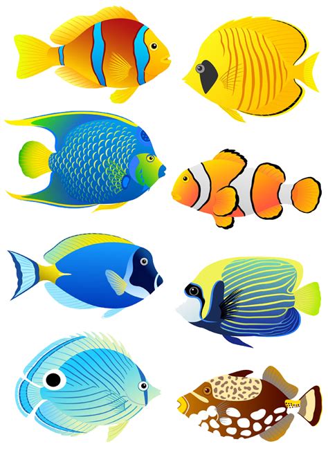 Fish clipart coral reef fish, Fish coral reef fish Transparent FREE for ...