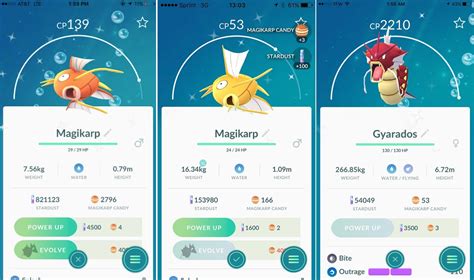 Pokemon Go: how to get a shiny red Gyarados, golden Magikarp and more - VG247