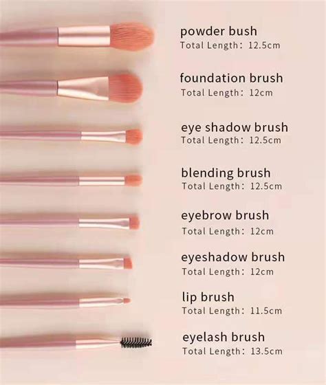 Eyeshadow Brushes Guide