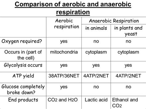 Anaerobic Respiration in Yeast Equation