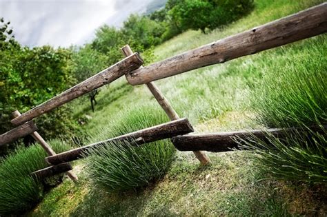 Premium Photo | Facing french countryside in summer season