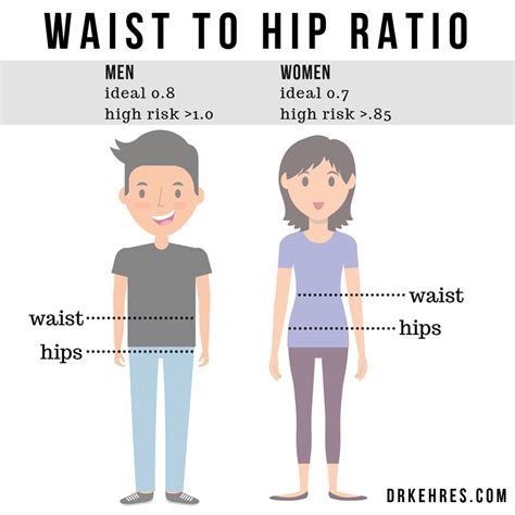 Waist To Hip Ratio