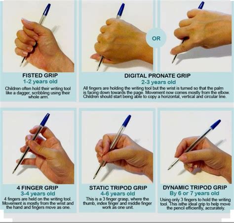 Normal development of pencil grasp | Pencil grasp development, Handwriting activities, Fine motor