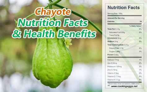 Chayote fruit Nutrition Facts and Health Benefits - CookingEggs