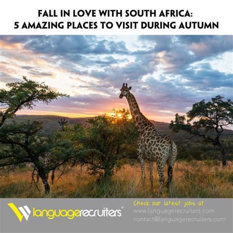 Fall in love with South Africa: 5 Amazing places to visit during autumn!