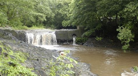 Tailings pond collapse kills dozens of freshwater fish in Costa Rica – Alphastox