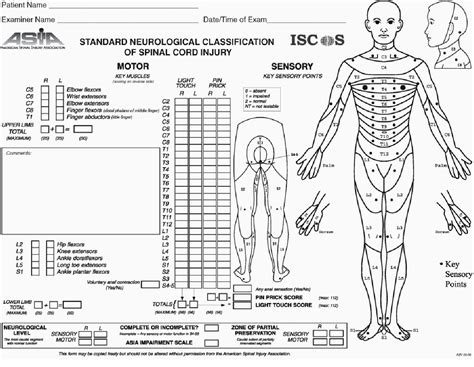 Figure 1 from CLINICAL - NEUROLOGICAL/ FUNCTIONAL - ASSESSMENT IN POST SPINAL CORD INJURY ...