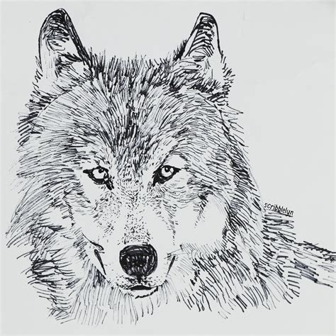 FREE 20+ Wolf Drawings in AI