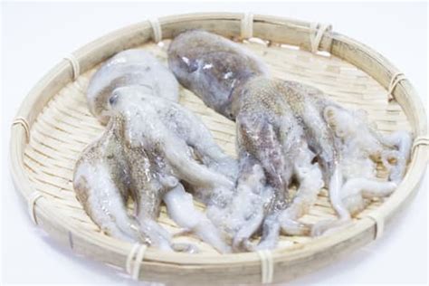 飯蛸 いいだこ （Ocellated Octopus） の特徴と栄養素japanese-food.net