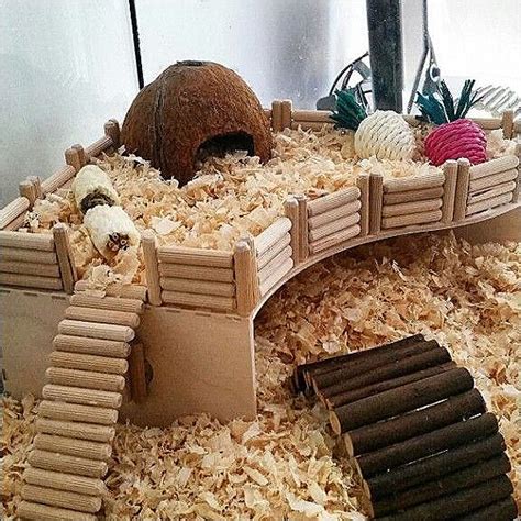 how to make a hamster platform - Google Search | Hamsterbur, Tamråttor, Gnagare