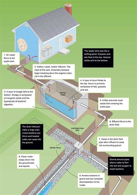 Diagram Of Septic Tank System Layout