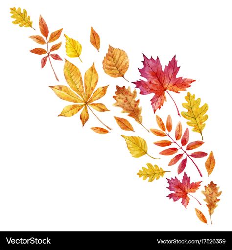 Watercolor fall leaves set Royalty Free Vector Image