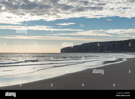 Speeton sands and Bempton cliffs at the southern end of Filey Bay, North Yorkshire, England ...