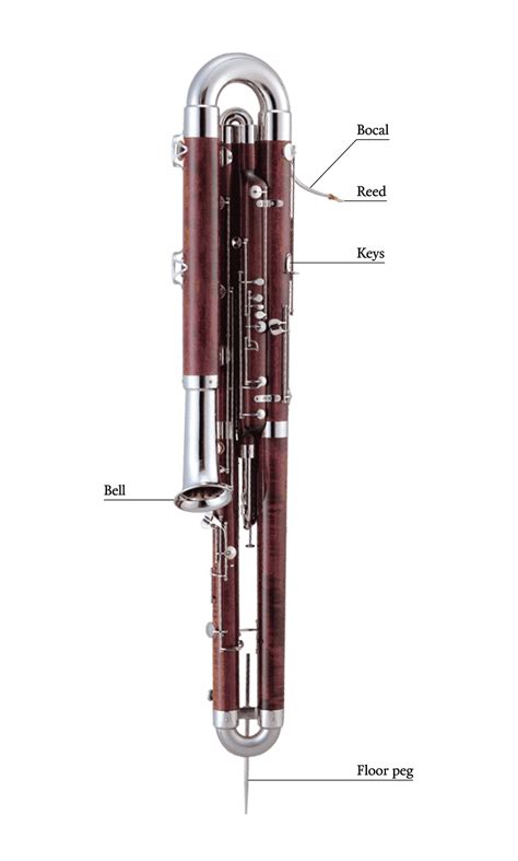 The Contrabassoon