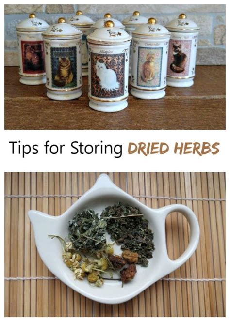 Storing Dried Herbs - Tips for Success