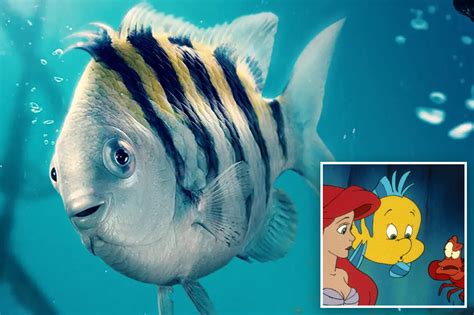 ‘Little Mermaid’ fans trash ‘skinny’ Flounder – Noti Group