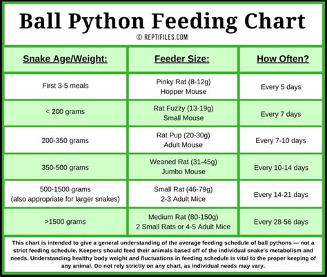 Ball Python Feeding Tips | ReptiFiles' Ball Python Care Guide