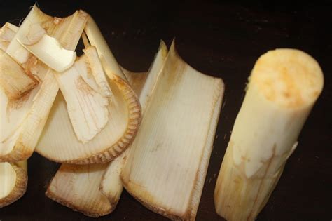 Banana Stem benefits for health | Fight Cancer, Reverse Inflammation, Reduce Diabetes