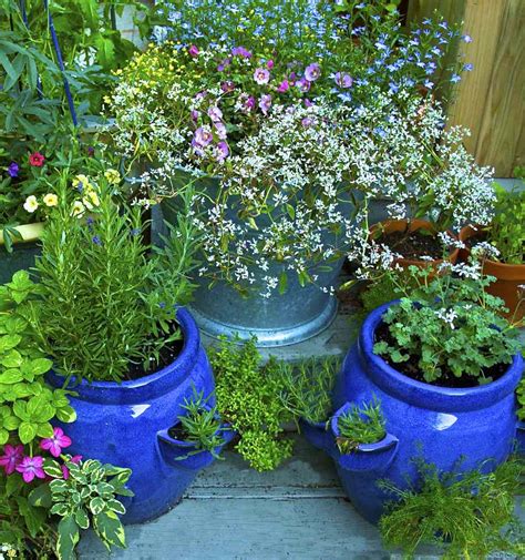 How to Get Sarted Growing Herbs in Pots