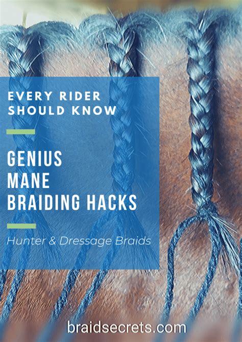 5 GENIUS HORSE BRAIDING HACKS - Braid Secrets