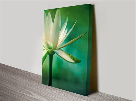 Lotus Flower Artwork on Canvas Prints Australia