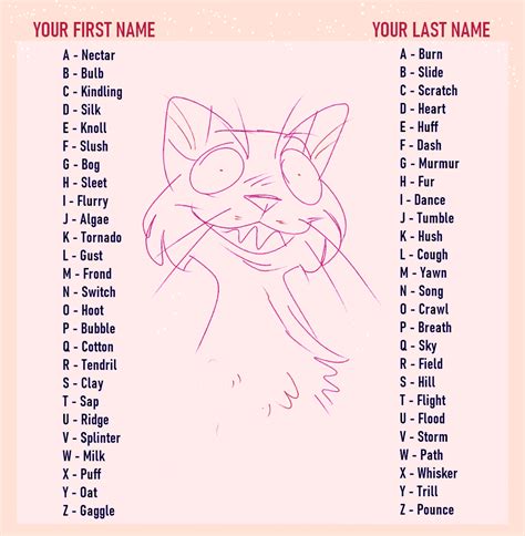 Warrior Cats Name Generator Scratch