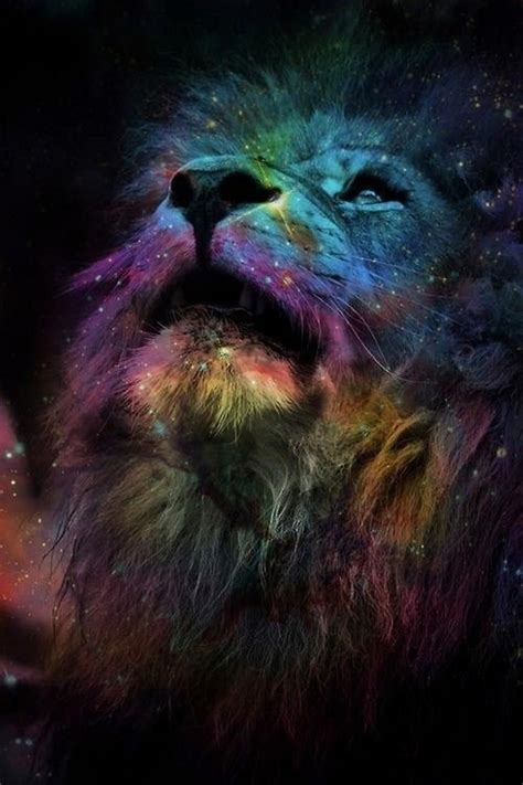 Rainbow Lion Wallpaper - WallpaperSafari