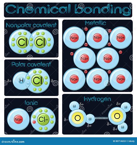 Types of chemical bonding stock vector. Illustration of bond - 80714653