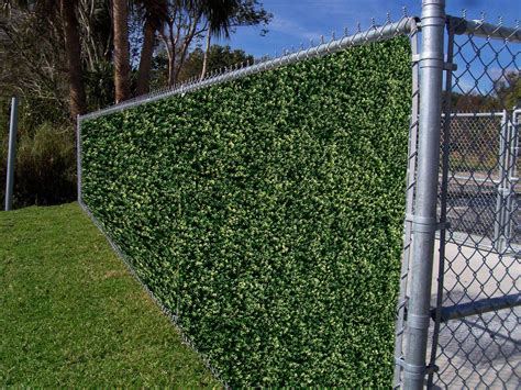 Best Plant Privacy Fence For Small Room | Home decorating Ideas