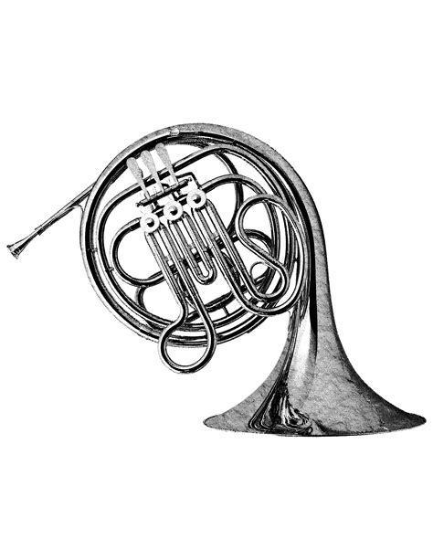 French Horn Drawing | Free download on ClipArtMag