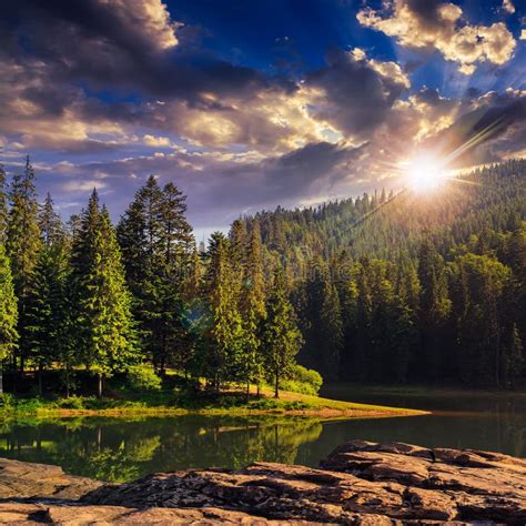 Mountain River in Pine Forest at Sunset Stock Image - Image of outdoor ...