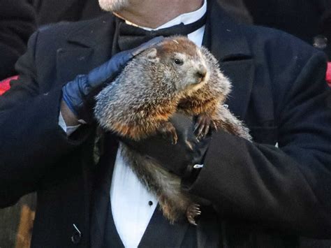 Groundhog Day 2019: Punxsutawney Phil Predicts An Early Spring : NPR