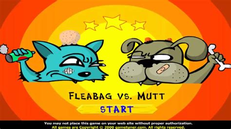 Funny, Cat vs Dog Game!! - YouTube