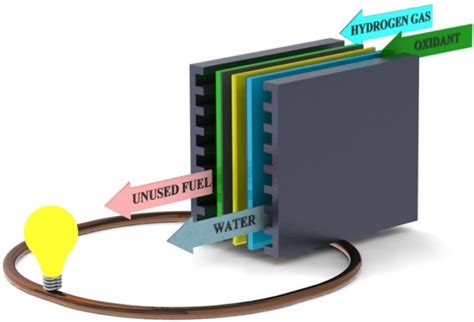 Proton exchange membrane fuel cell structure | Download Scientific Diagram