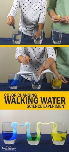 Color Changing Walking Water Science Experiment for kids Cool Science ...